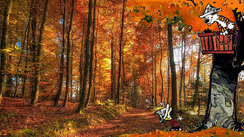 Calvin and hobbes comics autumn forest HD wallpaper