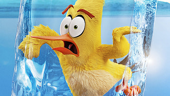 Yellow The Angry Birds Movie 2 2019, the-angry-birds-2, the-angry-birds-movie-2, angry-birds, movies, 2019-movies, poster HD wallpaper