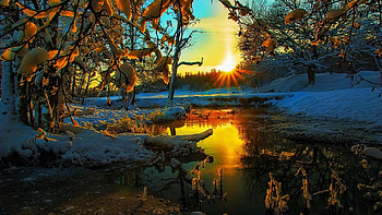 Sunset at the River, reflections, ice, snow, landscape, trees, water HD wallpaper
