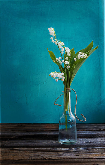 Vase, Lilies of the Valley HD phone wallpaper