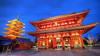 beautiful temple in tokyo, night, courtyard, lights, temple HD wallpaper
