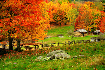Autumn in countryside, colorful, slope, fall, colors, peaceful, grass, mountain, huts, fence, trees, autumn, countryside, foliage HD wallpaper