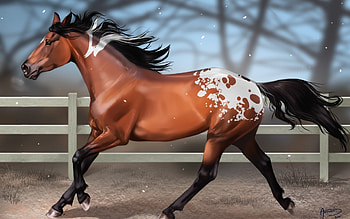 Animals, Horses HD wallpaper
