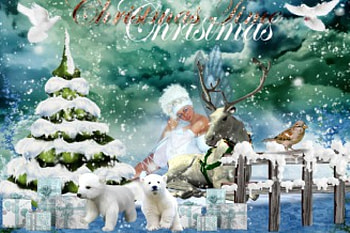 Winter Time, winter, deer, snow, christmas, xmas, ice HD wallpaper