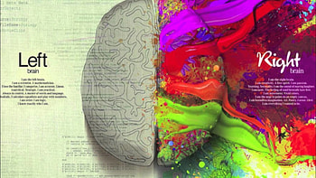 Trends For > Left And Right Brain HD wallpaper