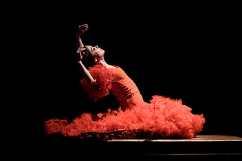 Flamenco, Albuquerque, Spanish roots, Flamenco capital HD wallpaper