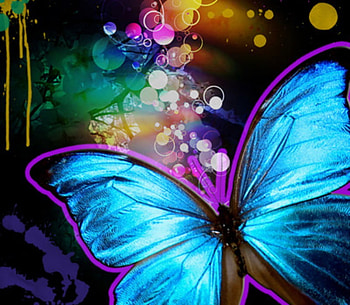 Splash of Color, blue, butterfly, rainbow, color HD wallpaper