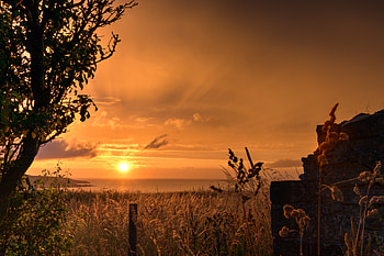 Landscape, Nature, Sunset, Grass, Twilight, Coast, Dusk HD wallpaper
