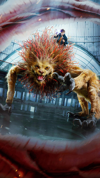 Fantastic Beasts, The Crimes of Grindelwald, , MovieMania HD phone wallpaper
