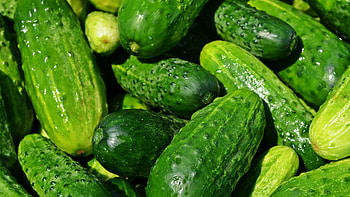 Cucumber, Ultra , , Hintergrnde HD wallpaper