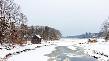 New Hampshire winter , Snowy landscapes, Cold season beauty HD wallpaper