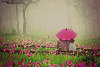 mood girl guy a woman men the pair couple umbrella umbrella love feelings love love romance HD wallpaper
