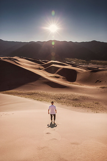 Nature, Sun, Sand, Desert, Human, Person, Dunes, Links HD phone wallpaper