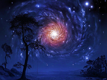 Wheel of fire, night, wheel, sky, stars, fire, tree HD wallpaper