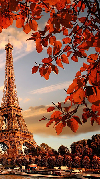 Eiffel Tower in autumn, Paris beauty, , Stunning graphy HD phone wallpaper