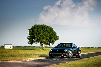 Porsche, Sky, Cars, Wood, Tree, 911, 997, Front, Turbo HD wallpaper