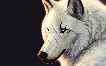 Animals, Wolfs HD wallpaper