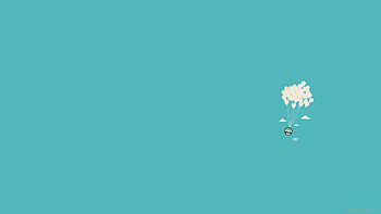 Mushroom up HD wallpaper