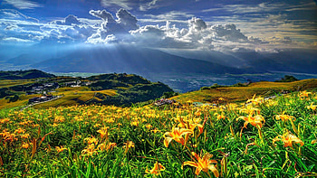 Spring Landscape, mountains, village, lillies, hills, clouds, sky HD wallpaper