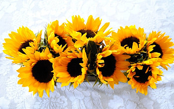 *** Bouquet of Sunflowers ***, nature, flowers, sunflowers, sun HD wallpaper