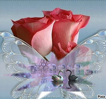 Butterfly and Roses, abstract, roses, butterfly, other, glass, digital art, nature HD wallpaper
