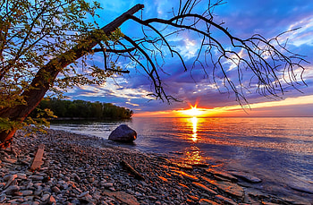 Sea sunset, sea, beautiful, stones, tree, summer, reflection, sky, amazing, water, sunset HD wallpaper