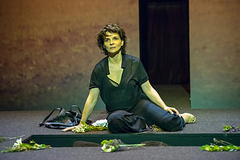 Juliette Binoche, Movies, Stars in Antigone, BAM HD wallpaper