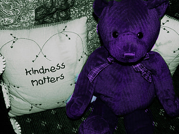 Sharing a Sentiment, purple, kindness, bear, teddy, pillow HD wallpaper