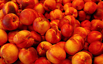 Fruits, Food, Peaches HD wallpaper