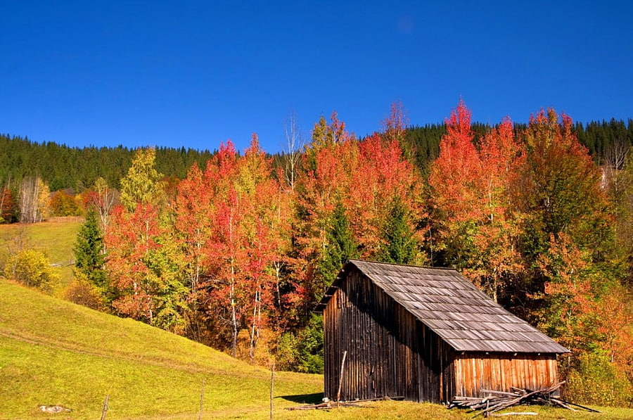 Hut in autumn mountain, wooden, colorful, nice, season, trees, autumn, hills, slope, house, fall, beautiful, lonely, cabin, falling, hut, nature, sky, mountainscape, cottage, lovely, forest, foliage HD wallpaper