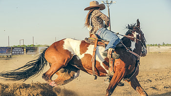 Cowgirl at Rodeo, cowgirl, horse, rodeo, hat HD wallpaper