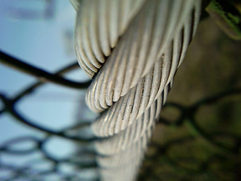 Macro, Metal, Wire, Silver, Silvery HD wallpaper