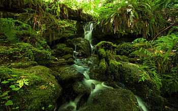 Greenery, Jungle, , Waterfall, Stream, Waterfalls HD wallpaper