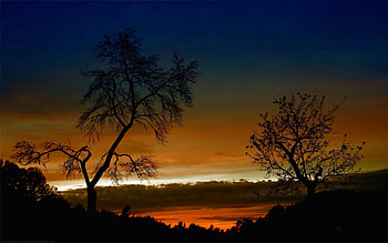Nature, Trees, Sunset, Sky, Twilight, Clouds, Branches, Branch, Dusk, Height, Outlines, Evening, Bends HD wallpaper
