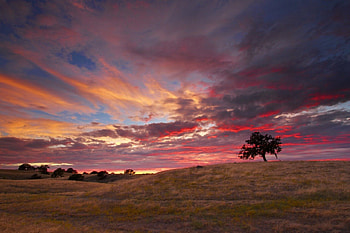 *Sunset*, light, clouds, sky, nature, sunset, tree HD wallpaper