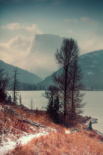 Landscape, Nature, Trees, Mountains, Lake, Shore, Bank, Fog HD phone wallpaper