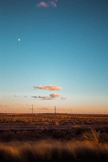 Nature, Road, Field, Journey, Evening, Roadside, Shoulder HD phone wallpaper
