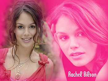 rachel bilson, women, models, actresses HD wallpaper