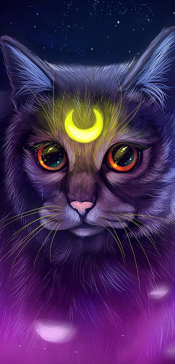 Galaxy Cat, Interstellar night, Dark cosmos, Artistic allure HD phone wallpaper