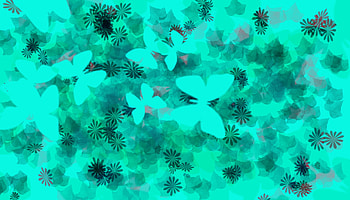 Butterfly bonjo, best, flowers, abstract, butterfly HD wallpaper