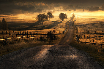 Fog, , Road, Landscape, Nature HD wallpaper