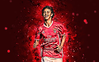 João Félix, SL Benfica, Joao Felix, Footballer, Portuguese, Soccer, benfica HD wallpaper