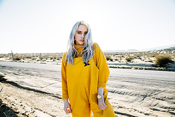 Billie Eilish 2019, billie-eilish, music, singer, girls, celebrities HD wallpaper