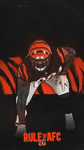 Cincinnati Bengals, Sports HD phone wallpaper