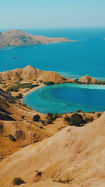 Komodo Island, Labuan Bajo tour, Hello Flores, Adventure HD phone wallpaper