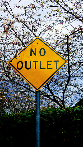 Words, Bloom, Flowering, Sign, No Exit, No Way Out HD phone wallpaper