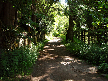 Mossy Walls, shade, walls, path, moss, dappled HD wallpaper