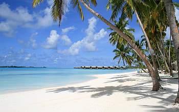 Maldives 13 , Beach paradise, Stunning views, Tropical escape HD wallpaper