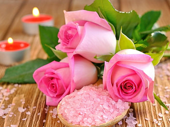 ROSES AND CANDLES, ROSES, , PINK, CANDLES HD wallpaper