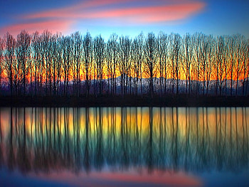 Beauty of Nature, reflection, trees, view, cool HD wallpaper